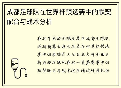 成都足球队在世界杯预选赛中的默契配合与战术分析