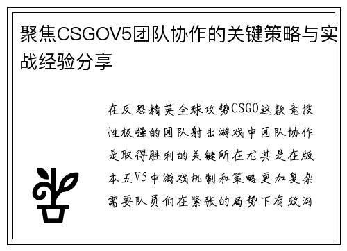 聚焦CSGOV5团队协作的关键策略与实战经验分享