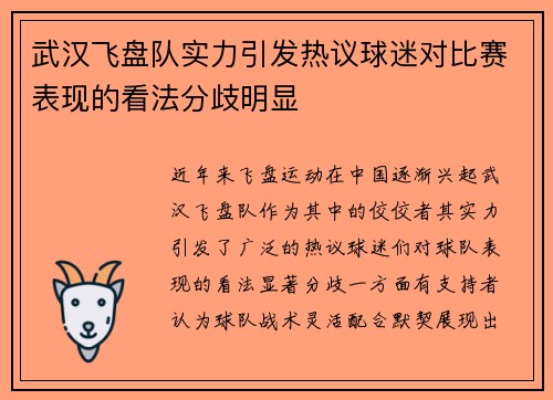 武汉飞盘队实力引发热议球迷对比赛表现的看法分歧明显